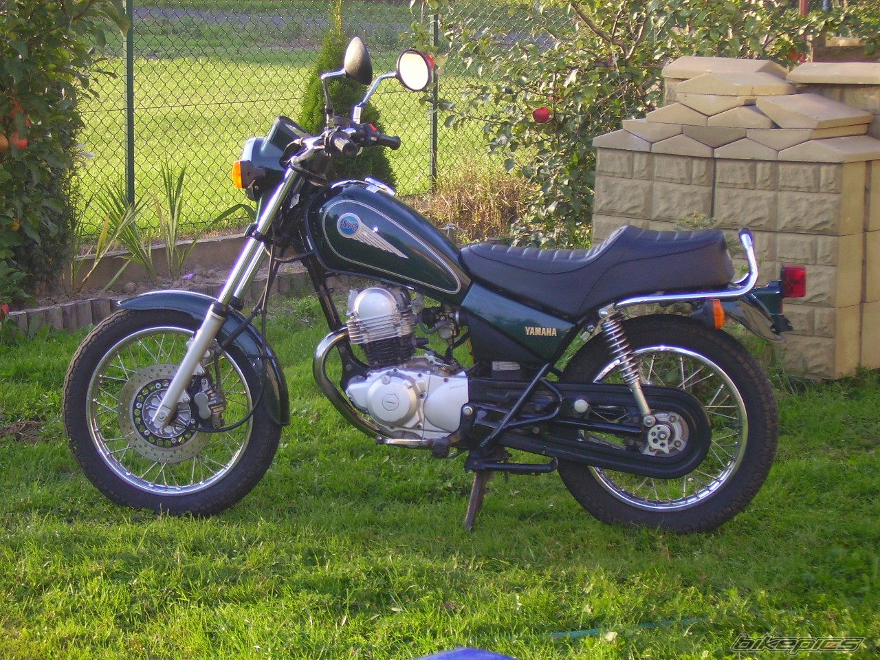 Bike Photo 1036842