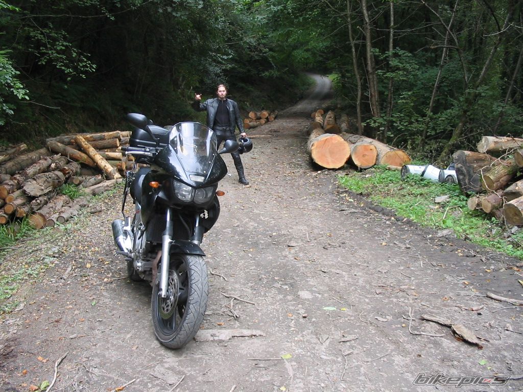 Bike Photo 1036864