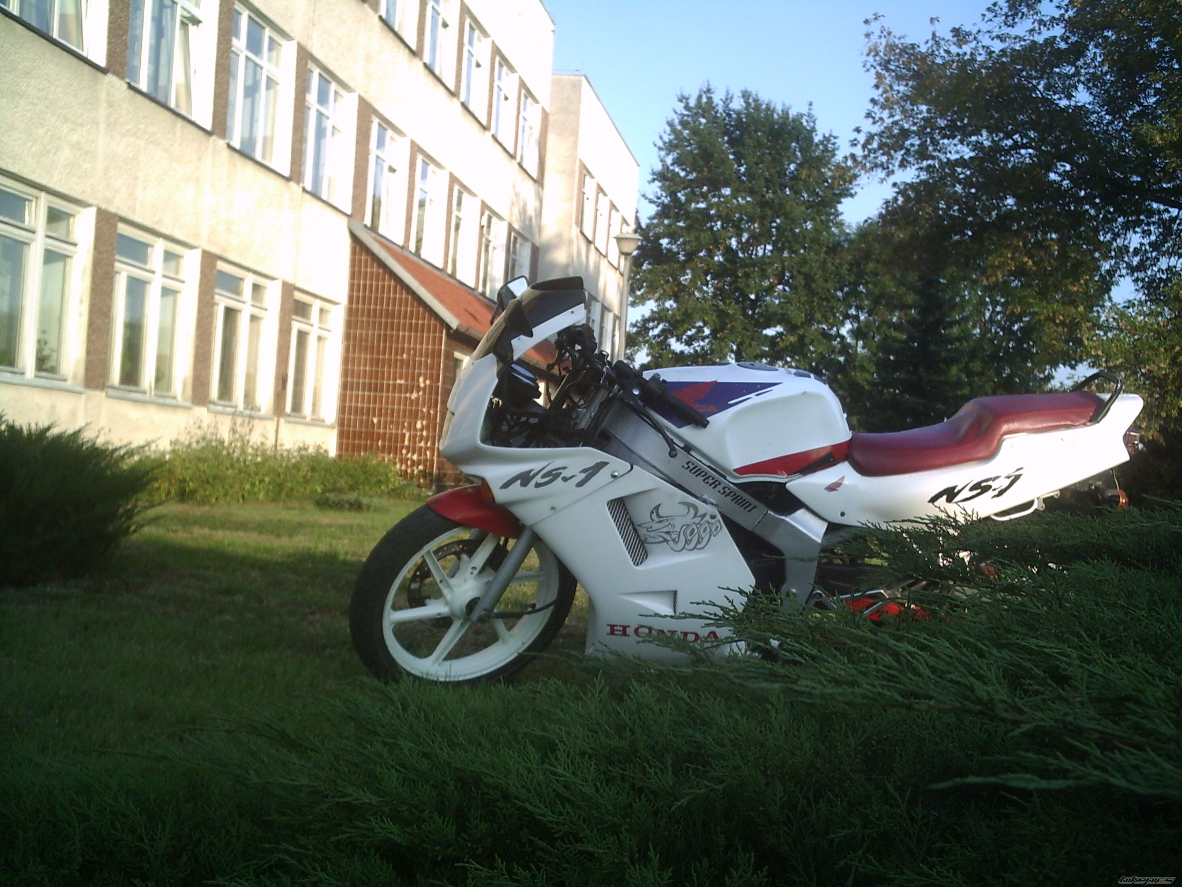 Photo 1036915