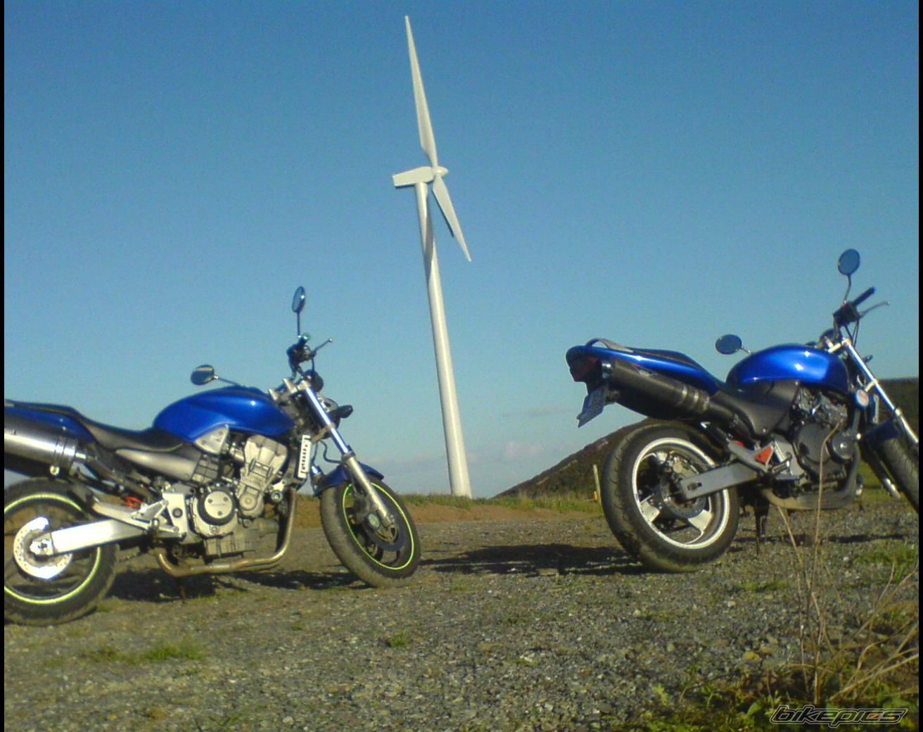 Photo 1036971