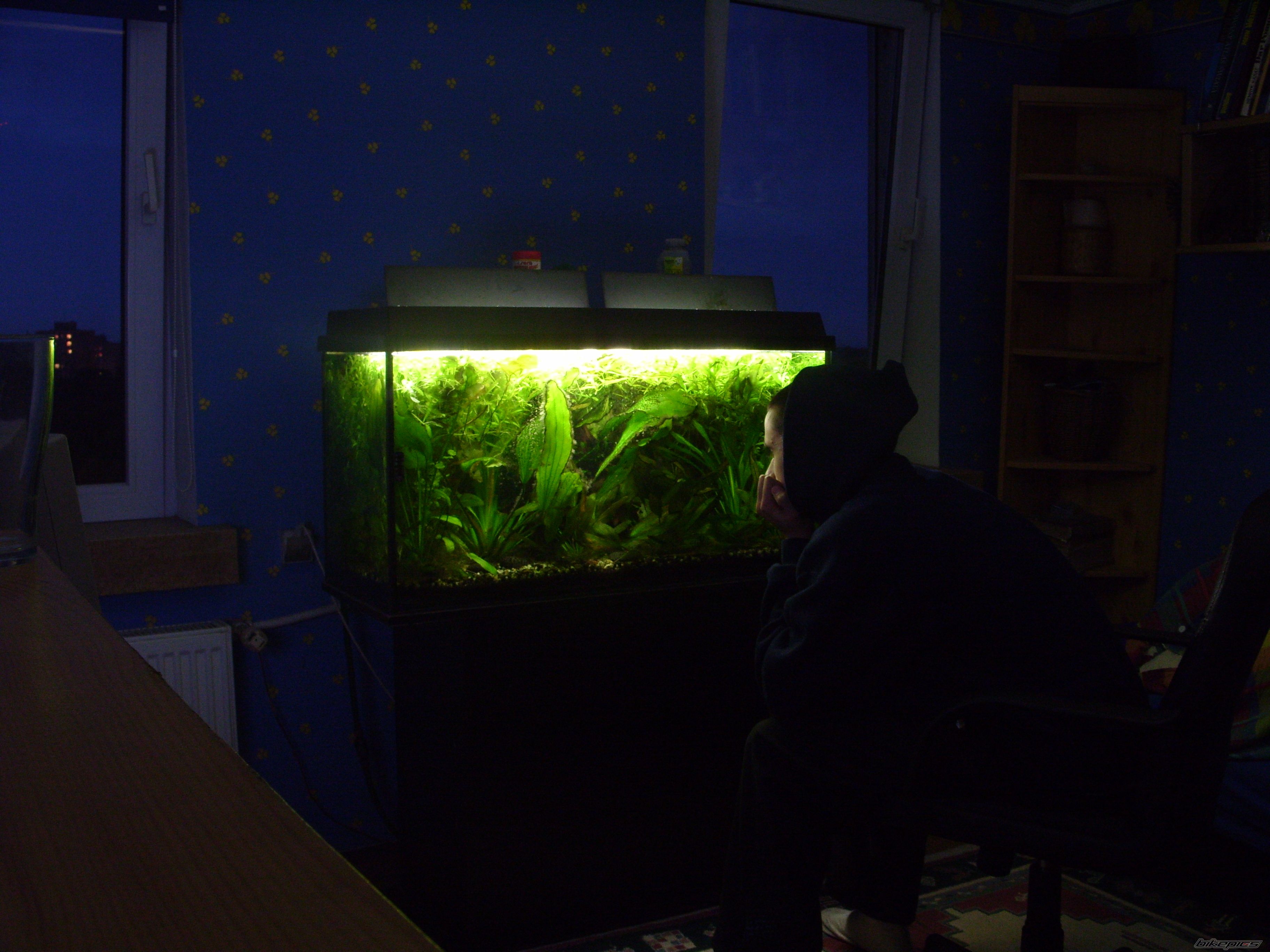 Photo 1036980