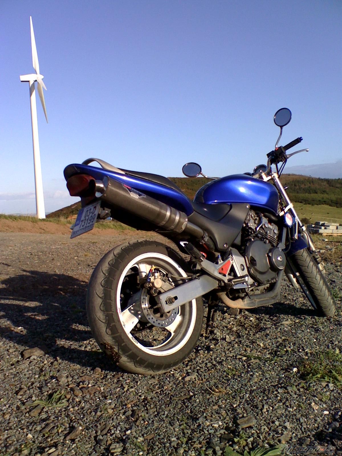 Photo 1036983