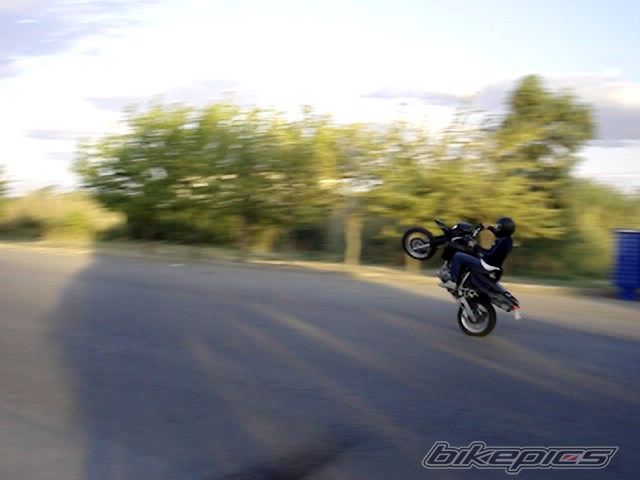Photo 1037029
