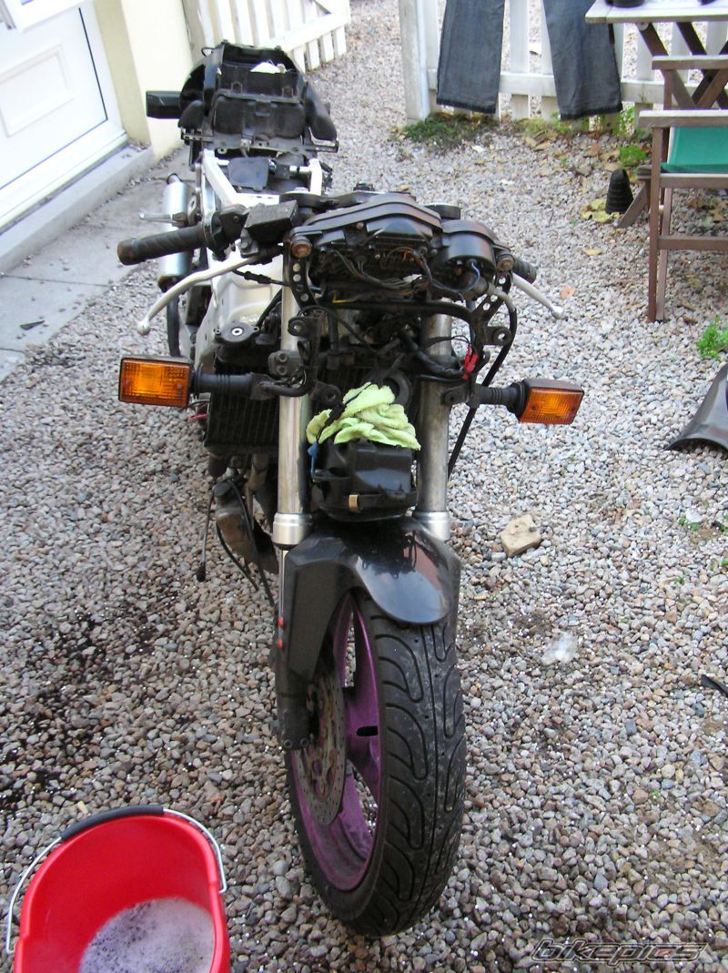 Photo 1037061