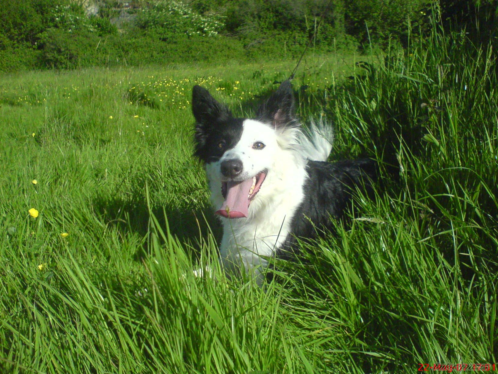 Photo 1037097