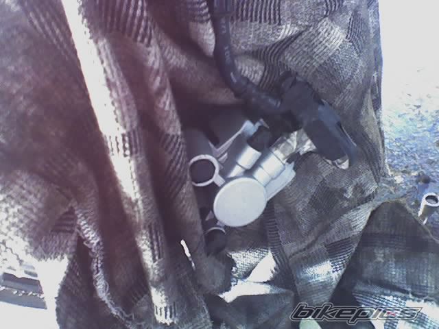 Photo 1037176