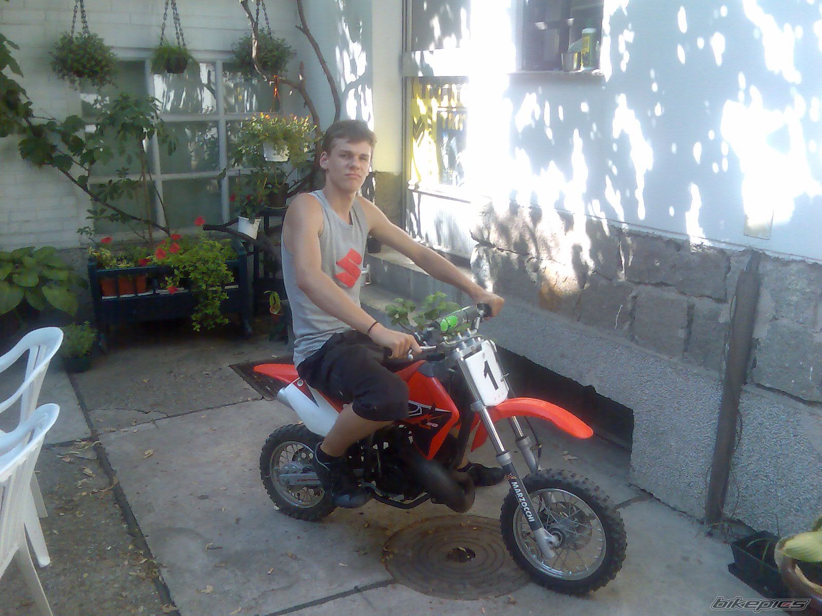 Photo 1037216