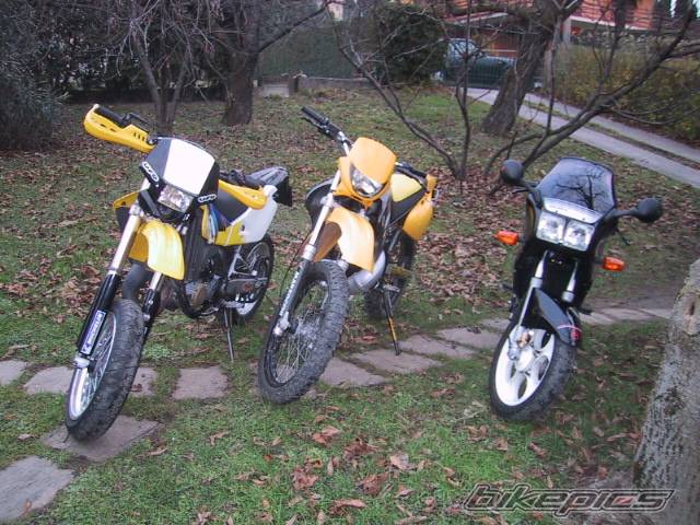 Photo 103738