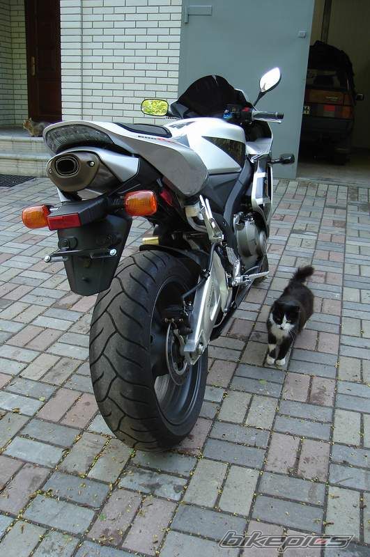 Photo 1037382