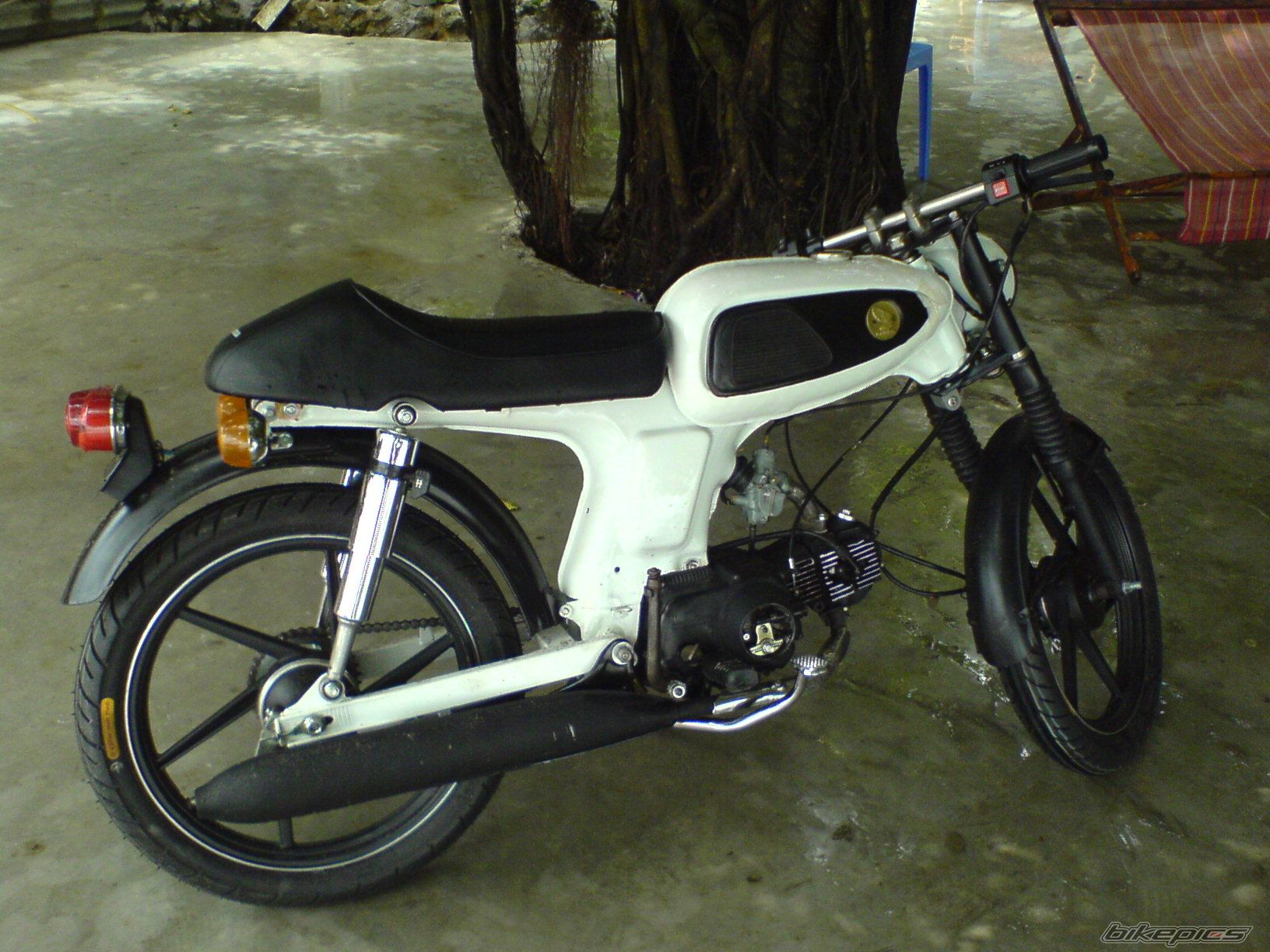 Photo 1037396