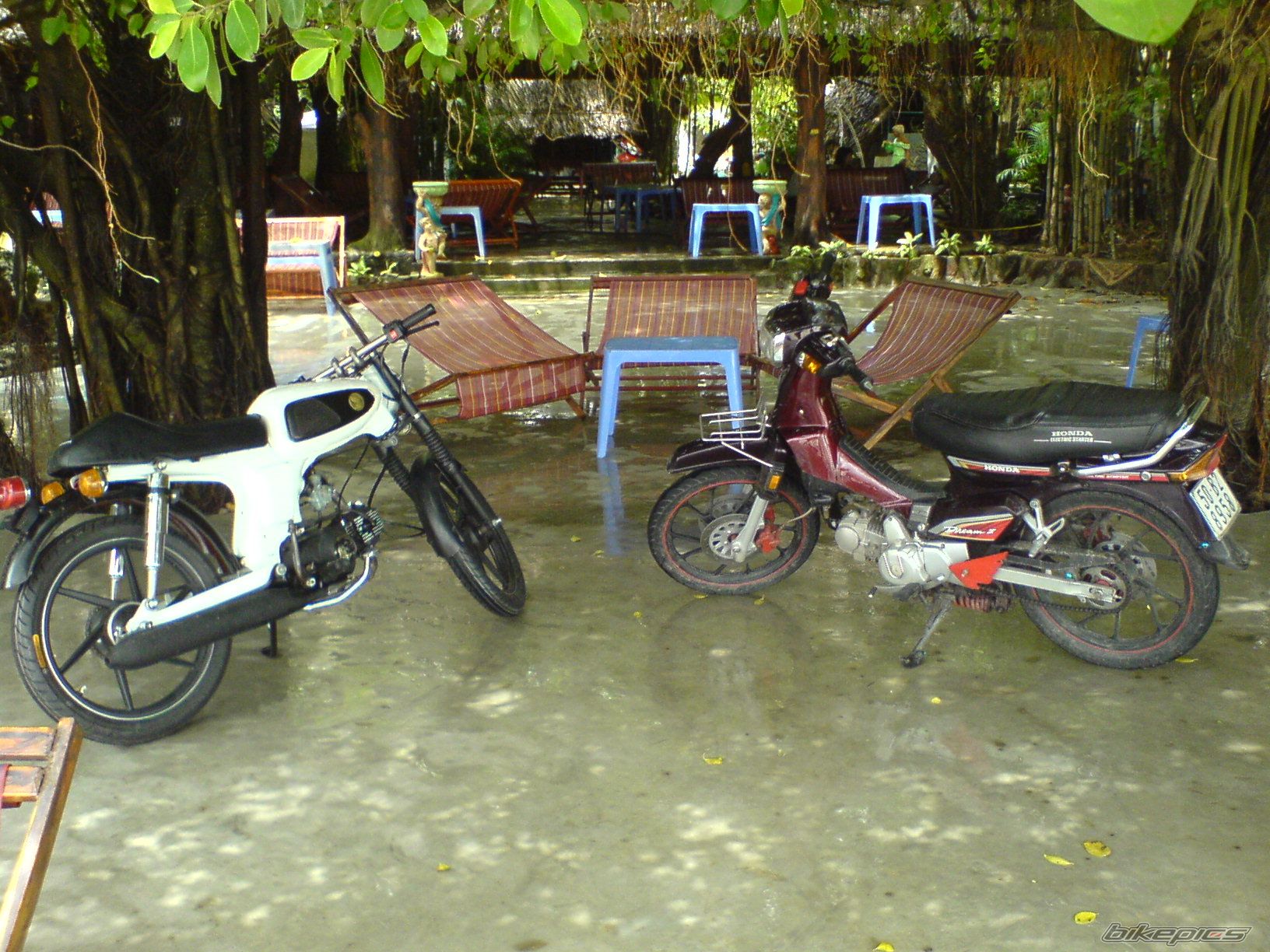 Photo 1037397