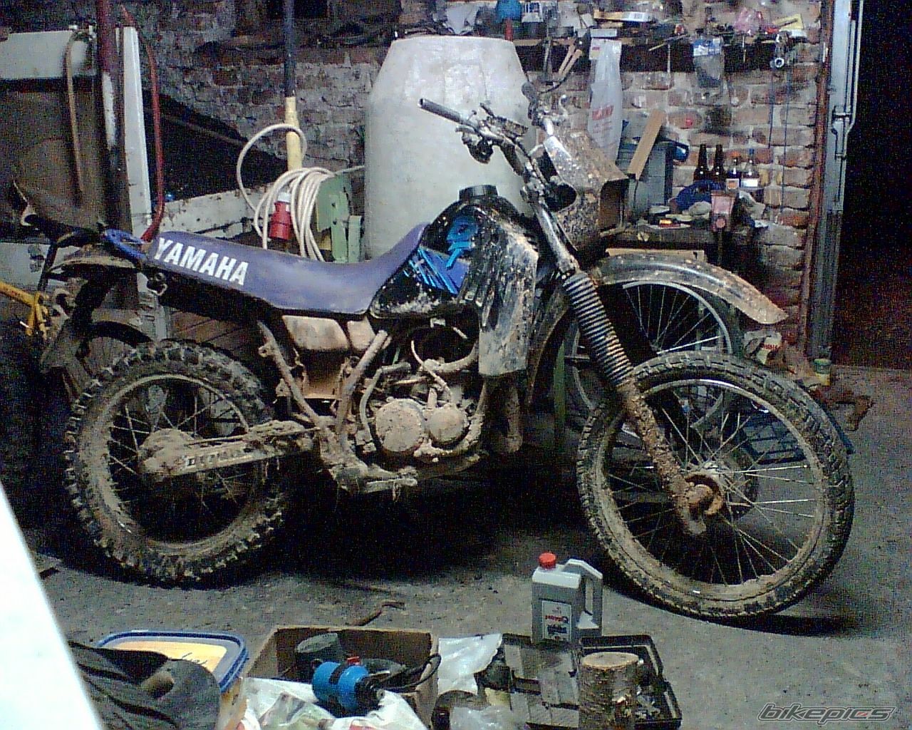 Photo 1037424