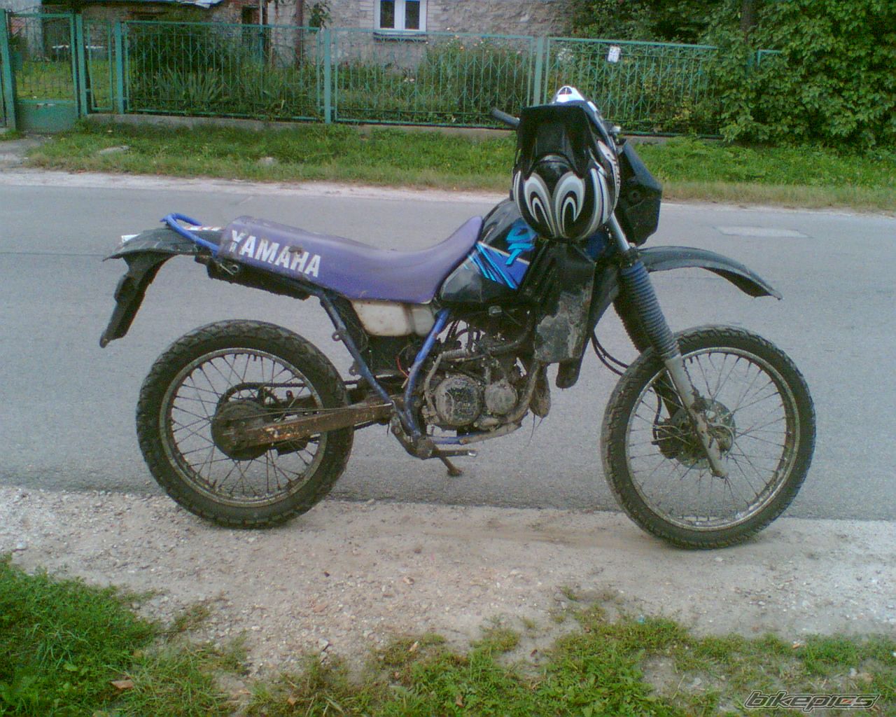 Photo 1037427