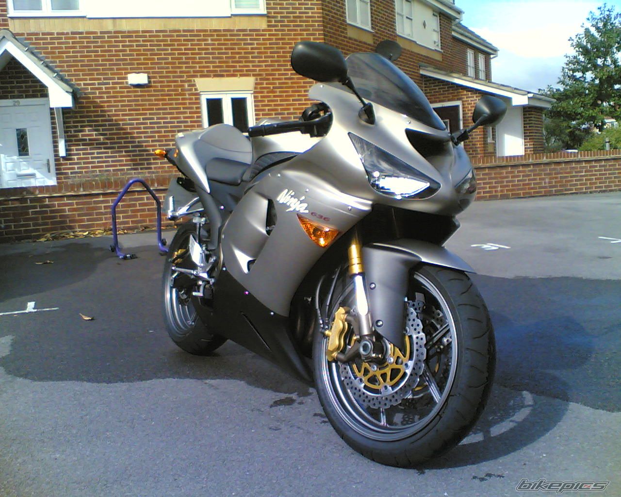 Photo 1037603