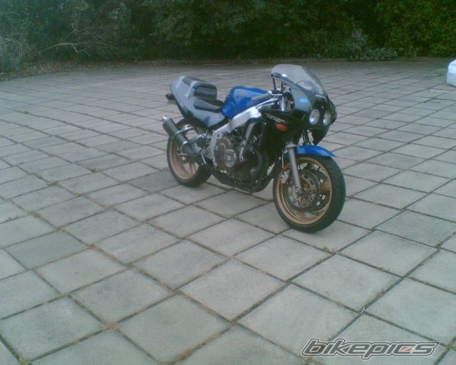 Photo 1037617