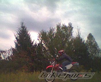 Photo 10377