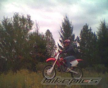 Photo 10378