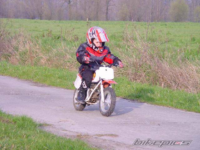 Photo 103780