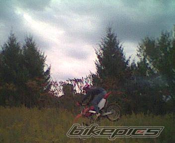 Photo 10379
