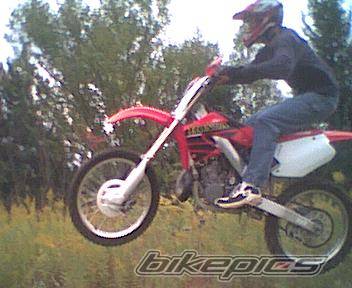 Photo 10380