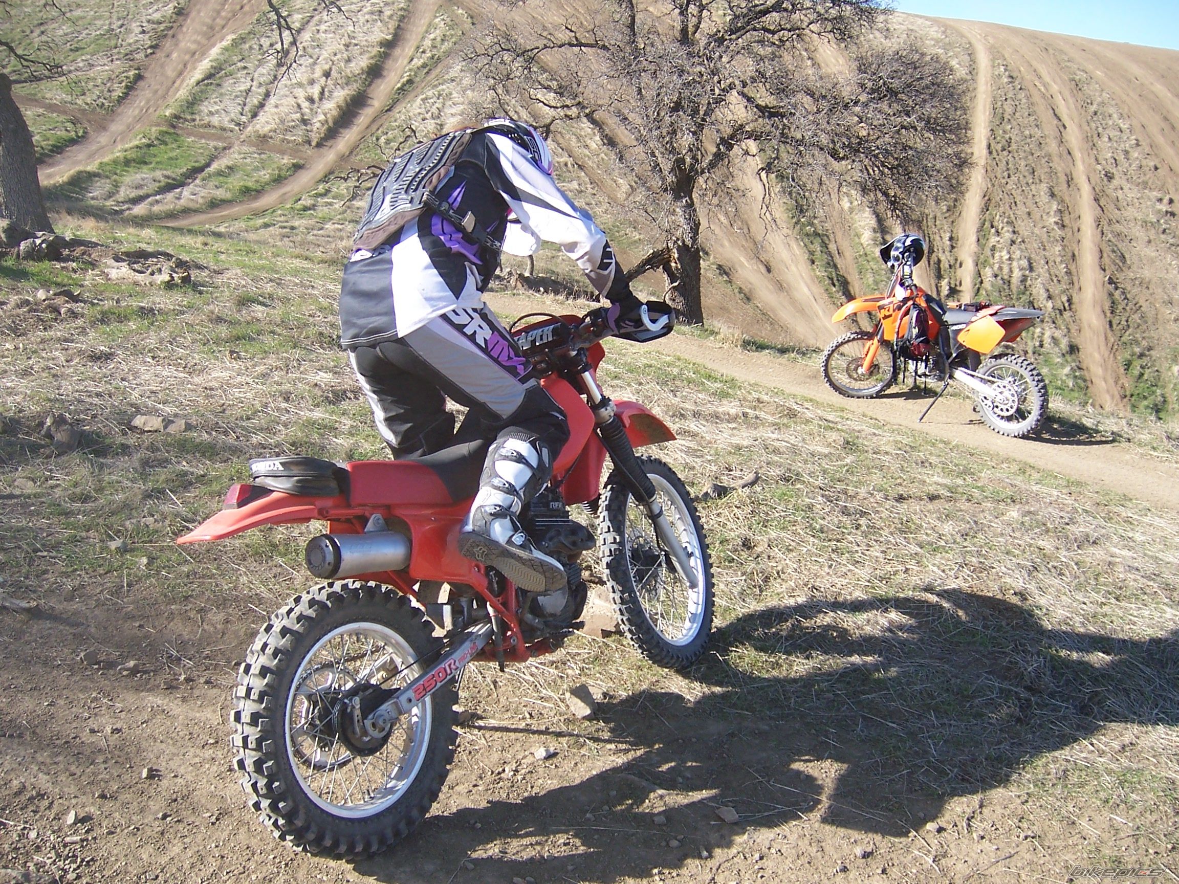 Photo 1038149