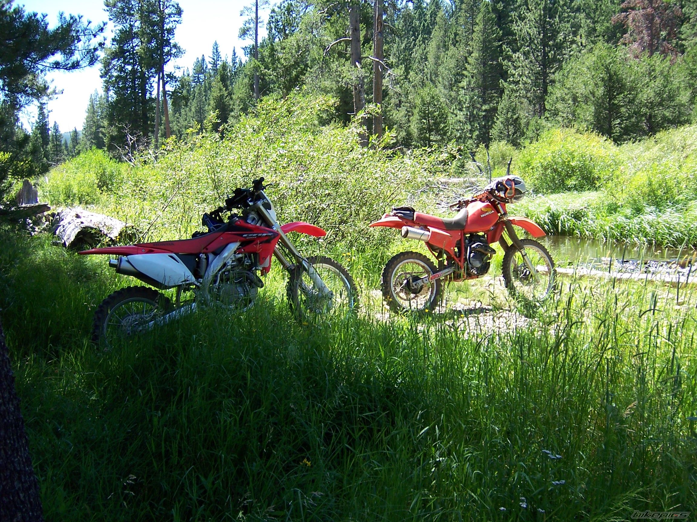 Photo 1038152