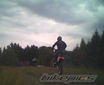 Photo 10382