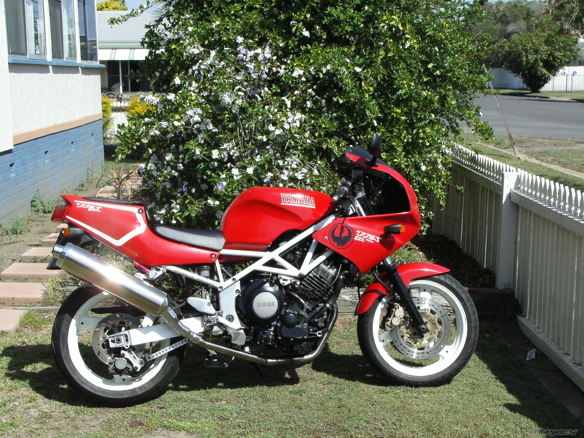 Bike Photo 1038298