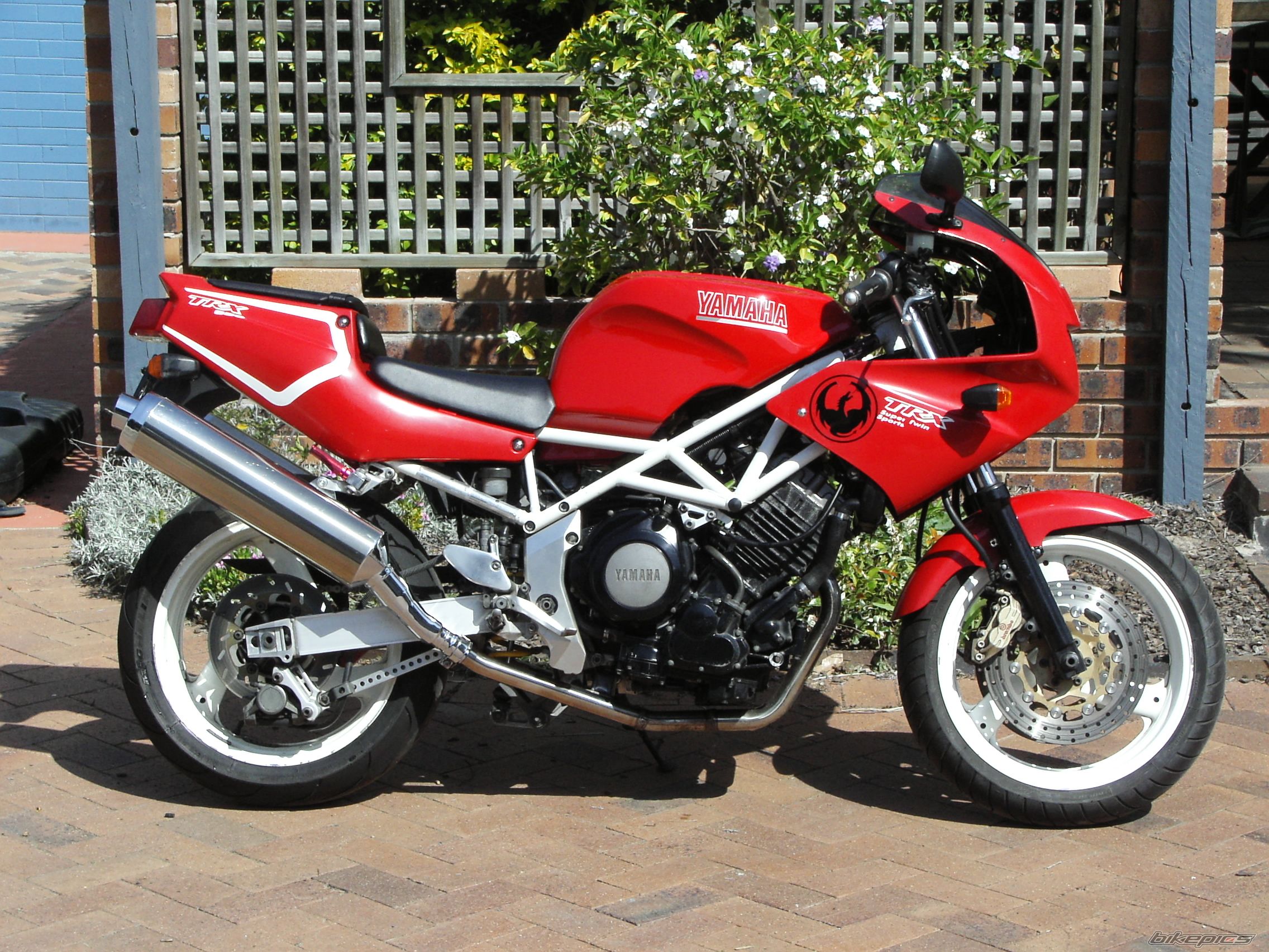 Bike Photo 1038310
