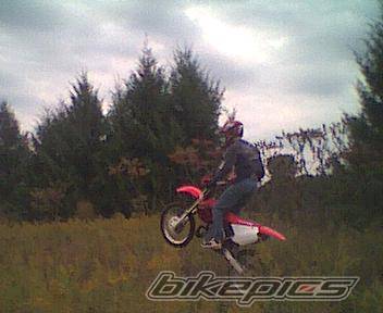 Photo 10384
