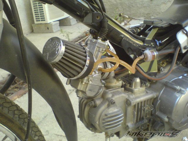 Photo 1038439