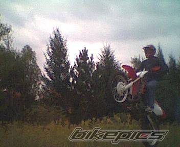 Photo 10385