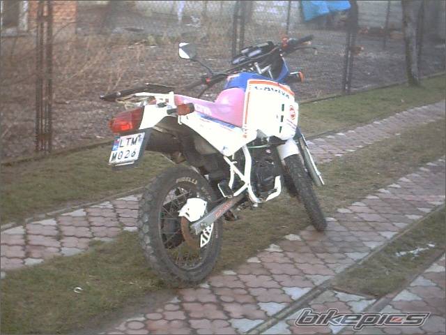 Photo 103865
