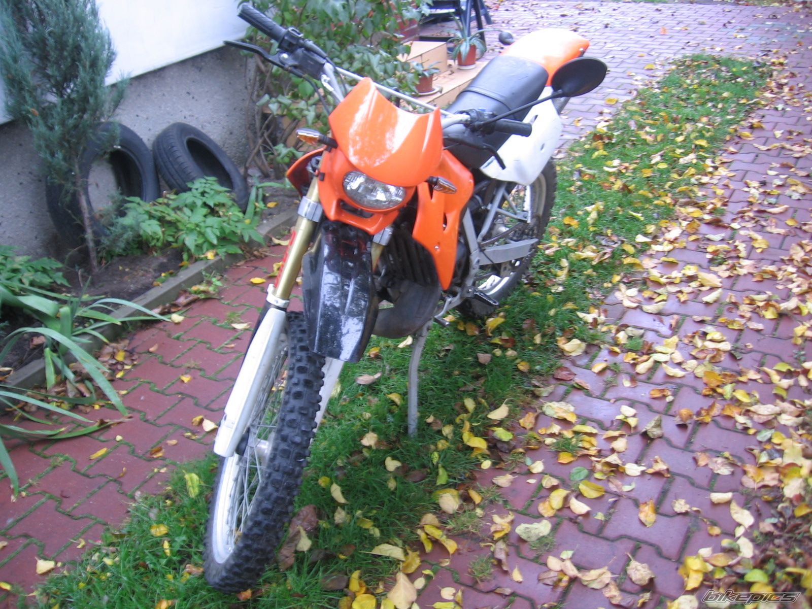 Photo 1038650