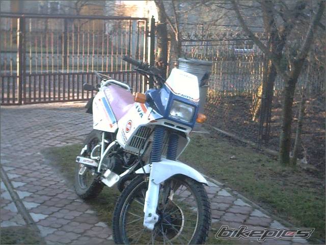 Photo 103866