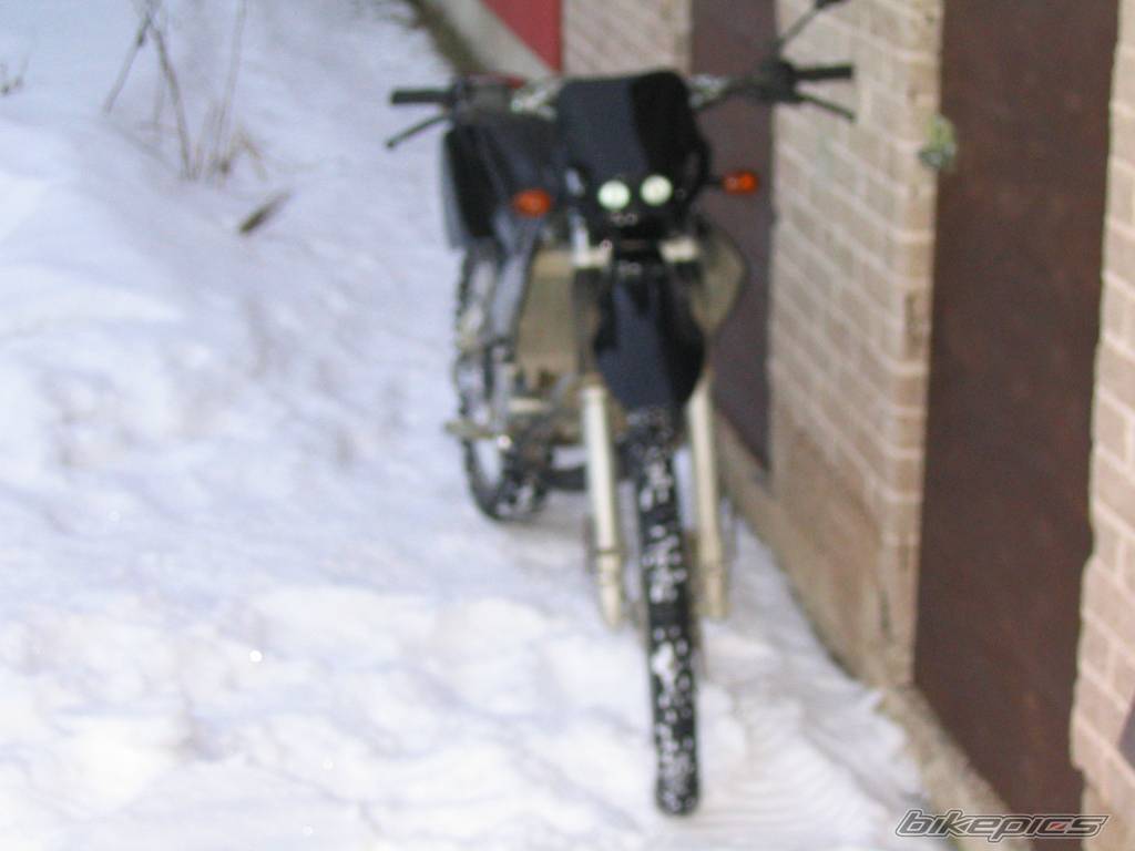 Photo 103873