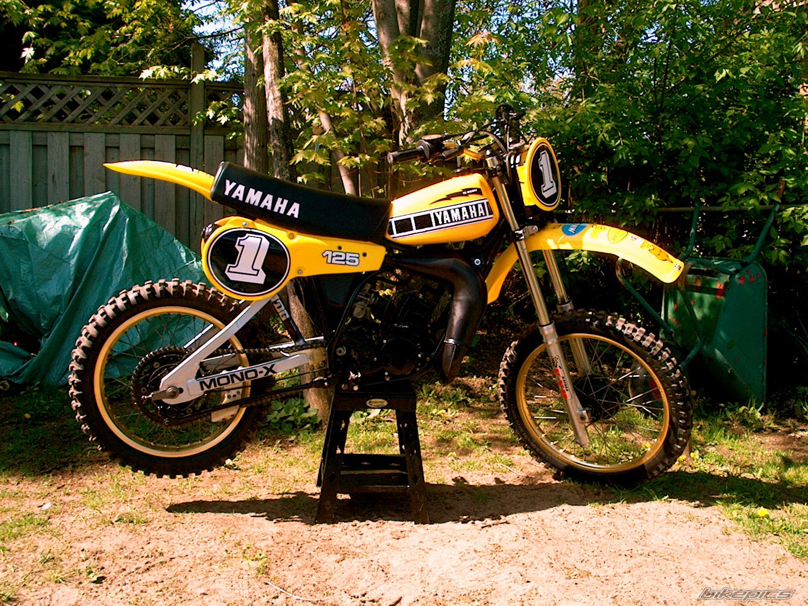 Bike Photo 1038848