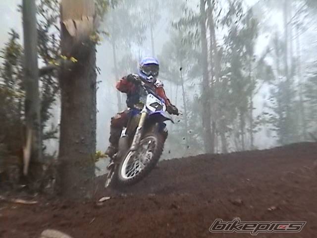 Photo 103901