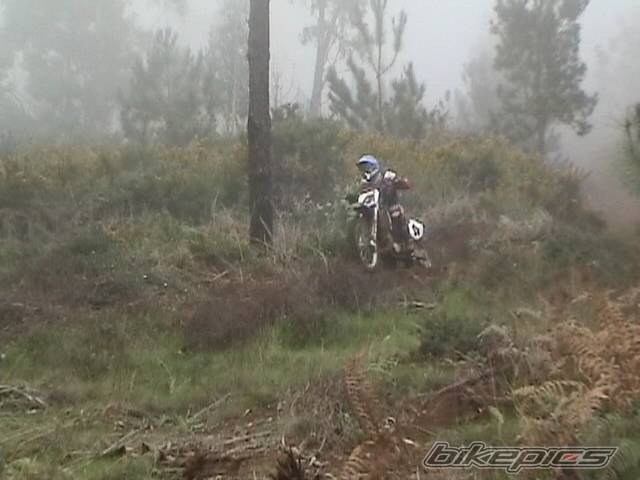 Photo 103903