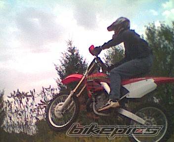 Photo 10392