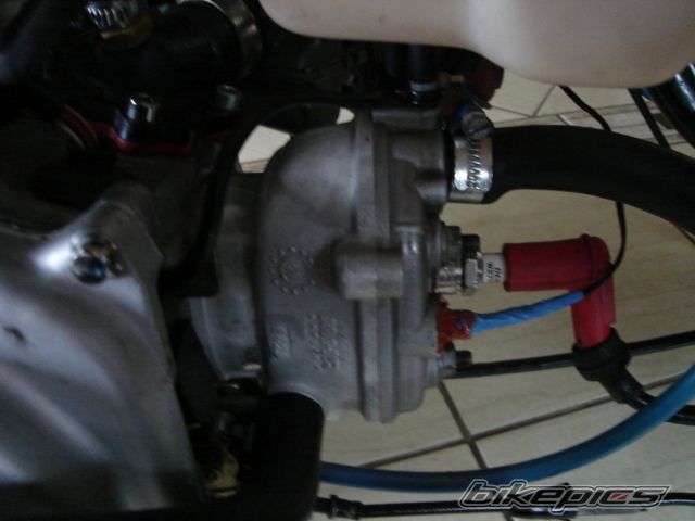 Photo 1039302