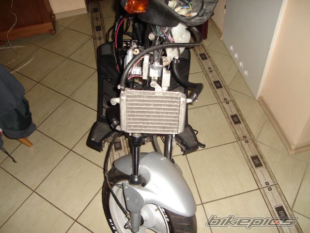 Photo 1039316