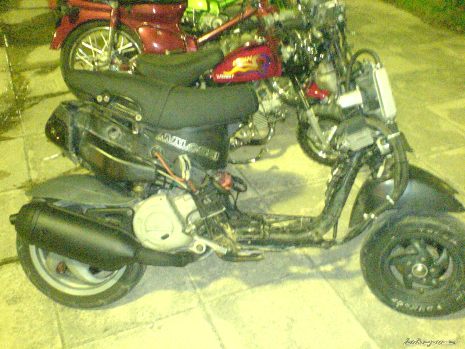 Photo 1039331