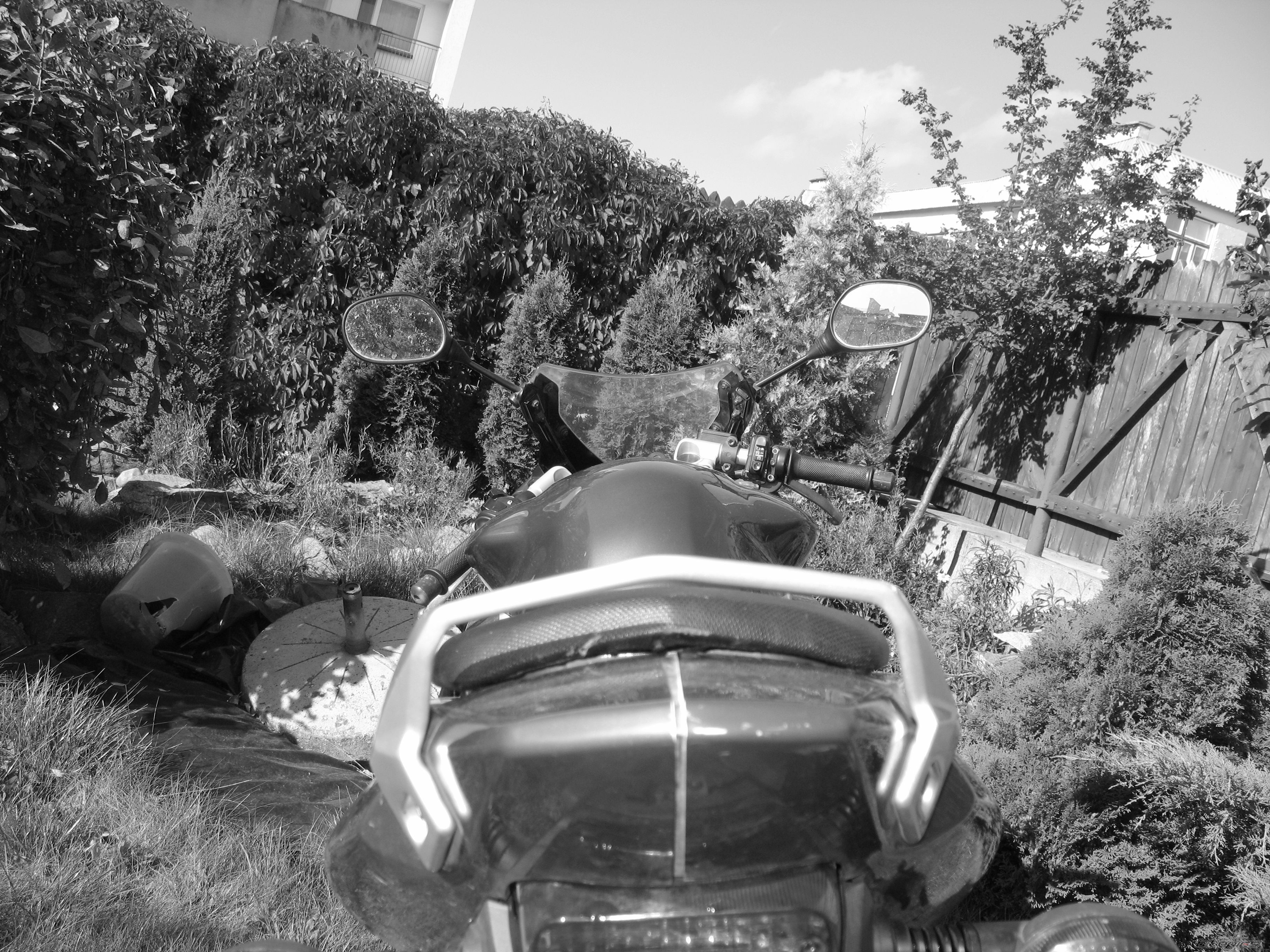 Photo 1039347