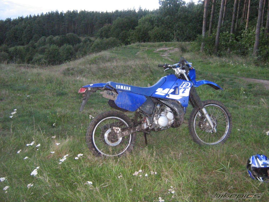 Photo 1039382