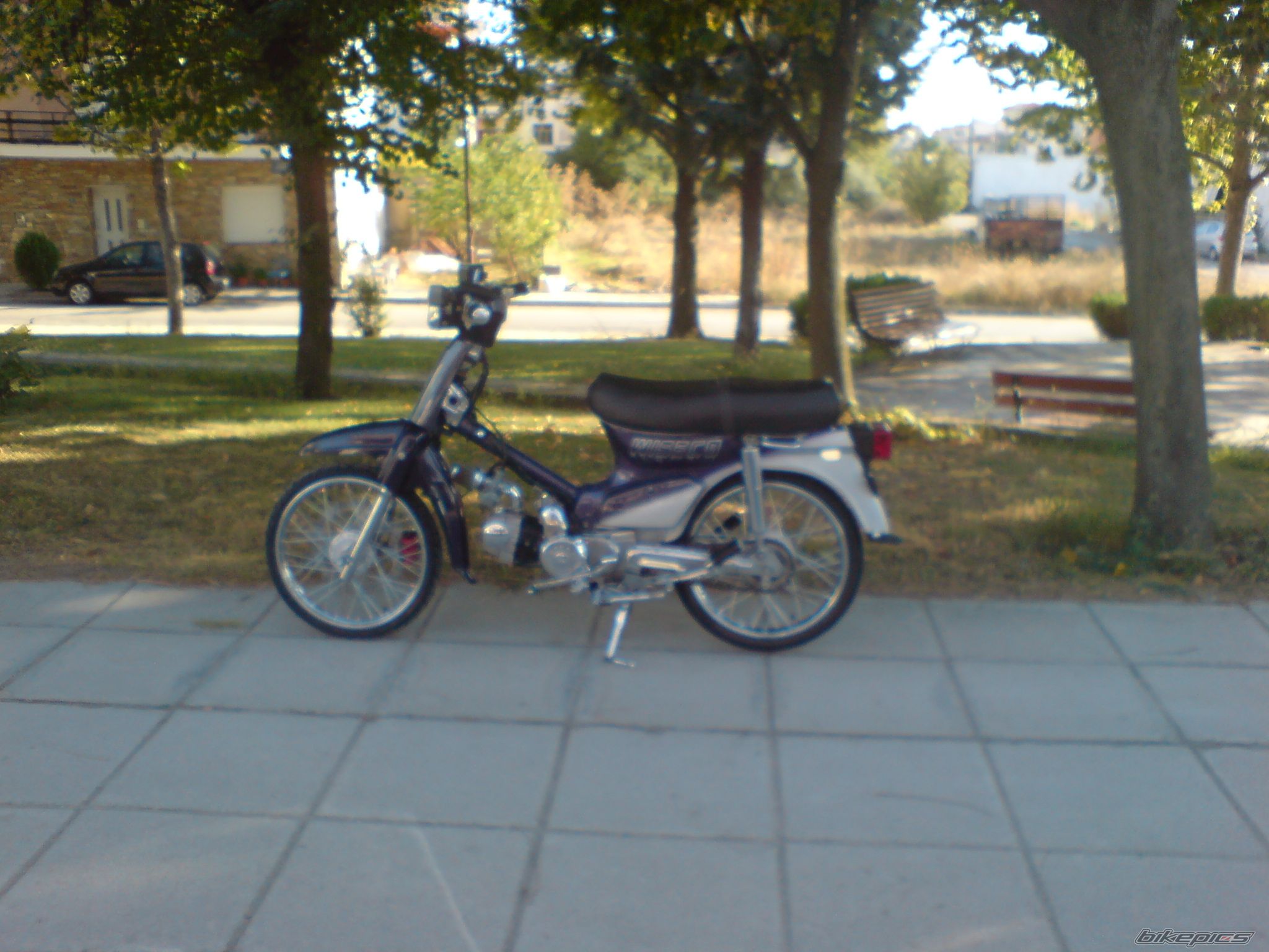 Photo 1039589