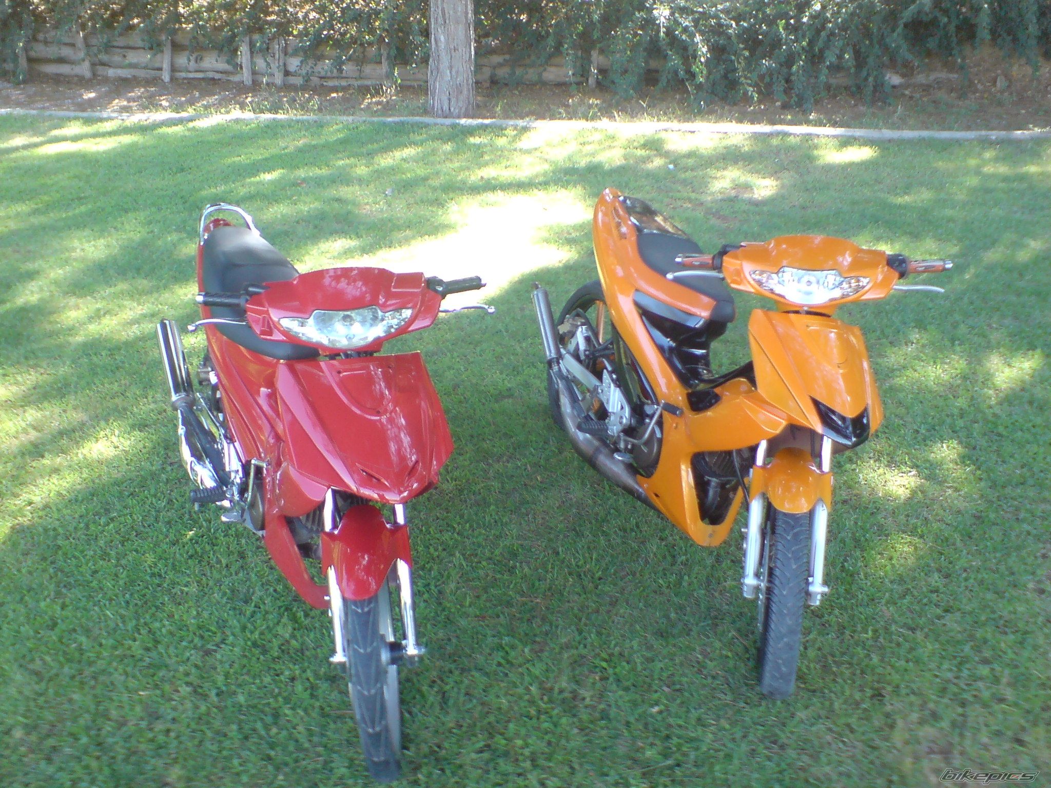 Photo 1039604