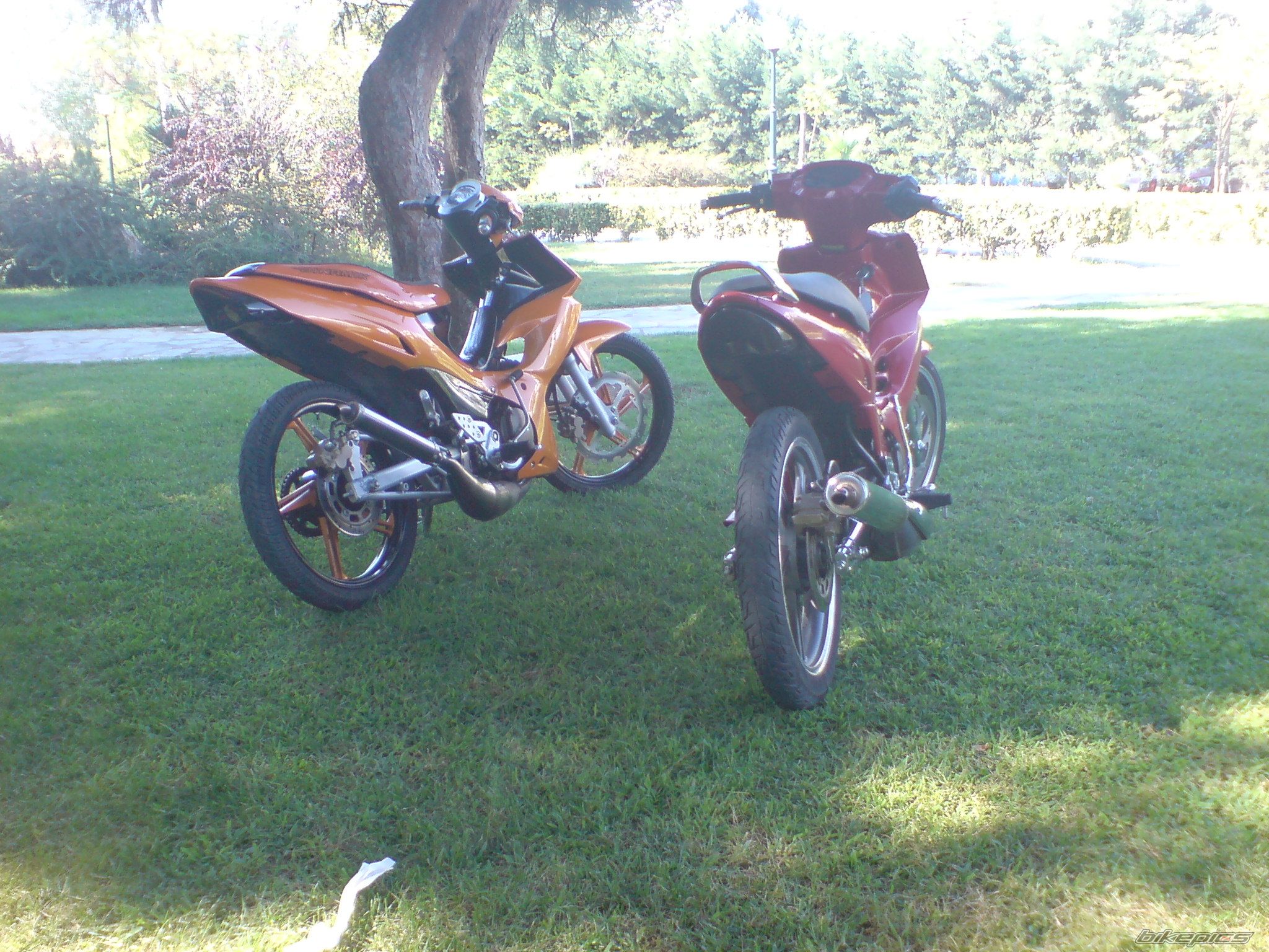 Photo 1039608