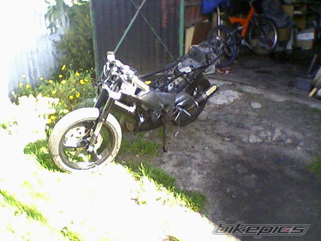 Photo 1039676