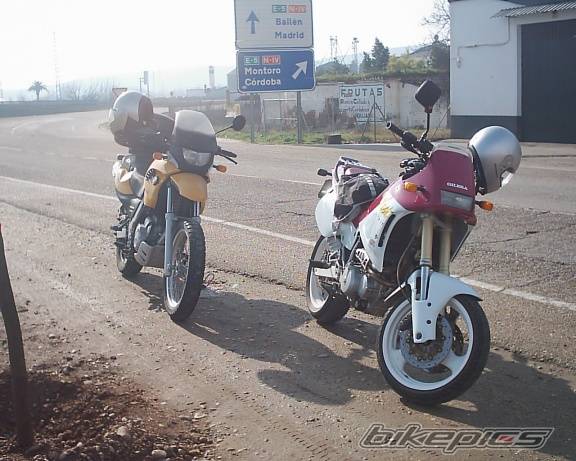 Photo 103991
